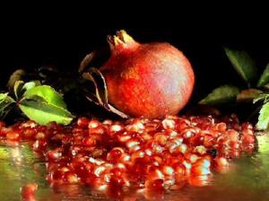 1520668_10151928826448382_290193610_n