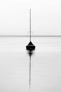 1525126_811153518910769_2018589962_n