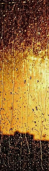 1779961_635300186526372_1239146434_n