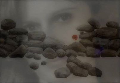 1534995_610732045663815_1206702395_n