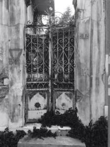 1609622_10152016488379620_352995842_n