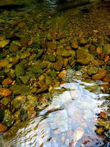 547857_573214489413271_2038357249_n