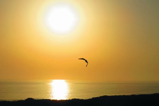 Φωτογραφία του Luan Harder