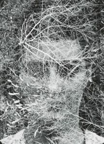 1510973_306824976139511_1924742511_n