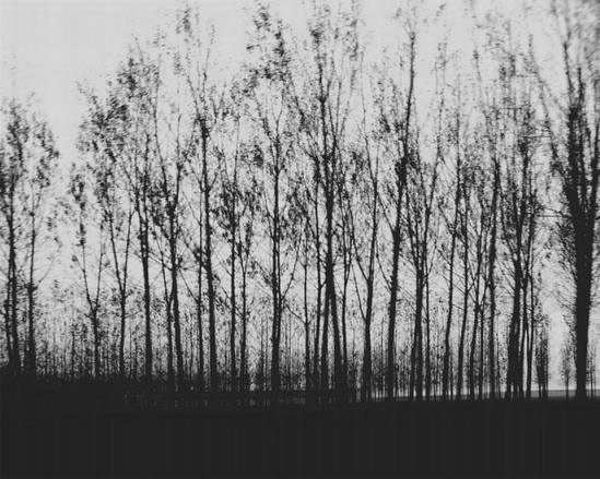 1689260_677477322293542_416993633_n