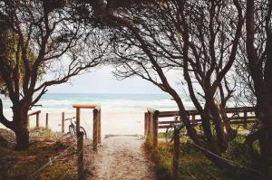 1780711_470711413050755_1106677112_n