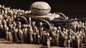 1966675_500604426716161_1124548791_n