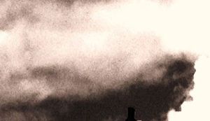 1966778_663880497001674_984001394_n