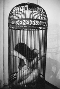 983574_306611749494167_1156300429_n