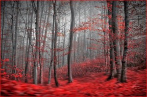 Καταγραφή