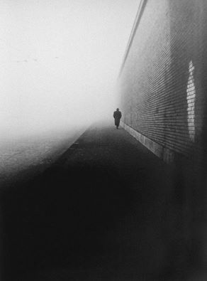 10154925_757395730951218_8312809401203683515_n