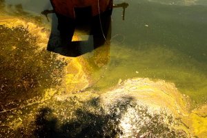 Φωτογραφία: Σοφία Αντωνακάκη