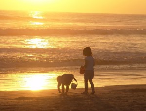 taktikosstefanos-stisammoudiestouomirou-eikona-02