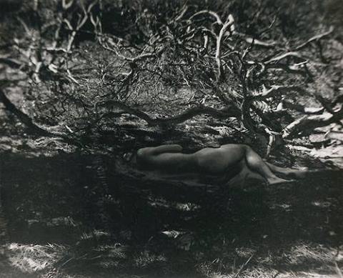 Φωτογραφία: Imogen Cunningham