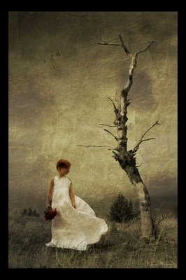 168317-d4e497638427d693