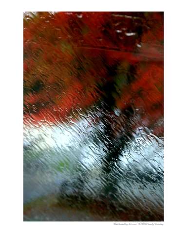 fall-colors-through-the-rain-by-sandy-woosley