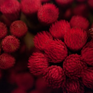 Έργο του Kuniaki Hiratsuka