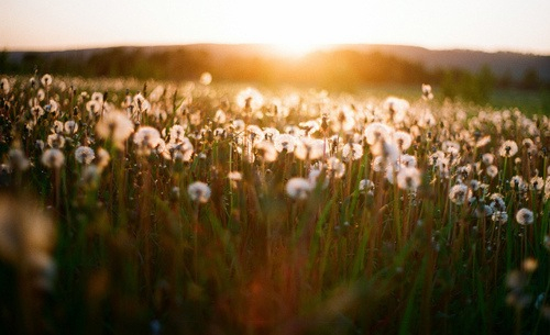 tumblr_n5kfjgxakj1r1p5gvo1_500