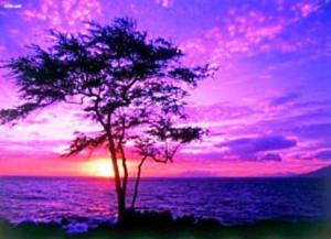 10390424_10152457471904483_2326040899984582156_n