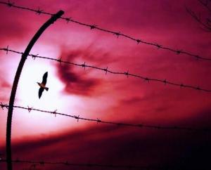 1486774_10200946235681114_674524255_n