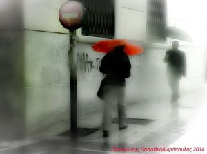 1656020_10152839282649240_978682779_n