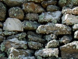 3+ξερολιθιές+Τήνος