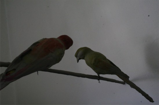 cf80cf85_ceb2__ceb3-ceb3___ceb5__ceb4_ceb7_cebe_ceb2__ceb3_cf85__ceb6_ceb1_ceb5__cf87_2013