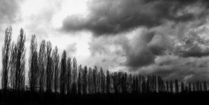 1618191_470897433032413_374007917_o