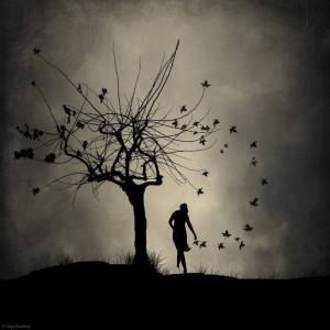 10580031_743713952368644_2152126028087897403_n