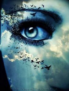 10600456_4531706546929_1295707461301145103_n