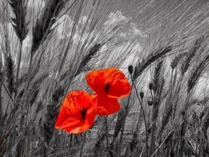 10614166_10204704897648407_2879713933131939663_n