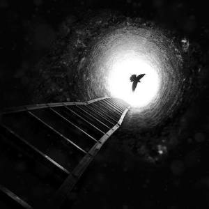 1972421_309953589174744_8929338574188732928_n