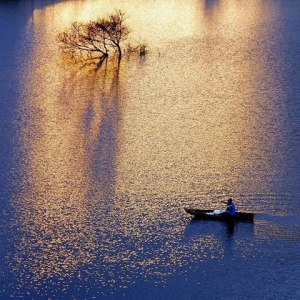 10645222_1013408958685223_2429345508927030829_n