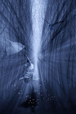 997092_554390331360609_6791671358788433777_n