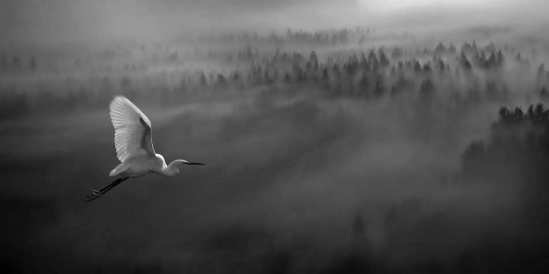 aeriallandscapephotographybymatjazcater2