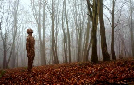 Έργο της Anna Gillespie