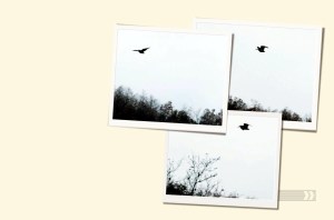 assets_LARGE_t_11761_2553145