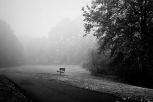 10338721_300051260197573_2418262707546641384_n