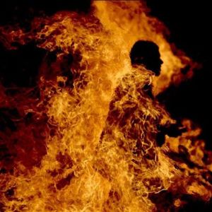 599550_299185936846928_993715947_n