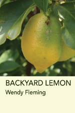 backyard-lemon