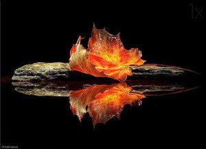 10624902_10205298714092473_3024451427080867478_n