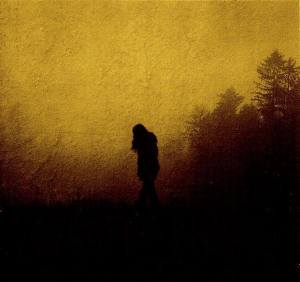 10670267_371831069662261_6749722971125175156_n