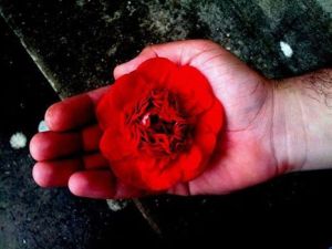 10392302_10152684999538479_835388242617078221_n