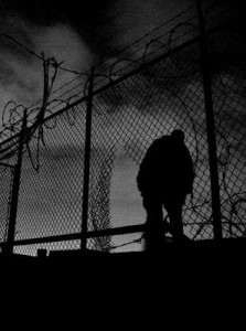 10487575_867404823281634_6655175174288165189_n-223x300