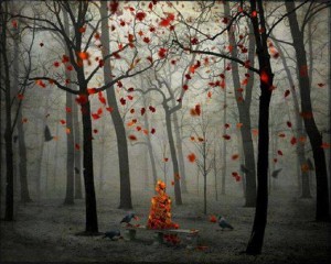 10917286_10153089259897642_3526155135014996104_n-300x240