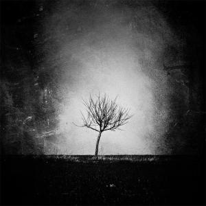 149500_10200603292148074_1431586324_n