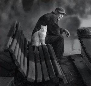 1555381_10203829234840310_9028751160595011602_n