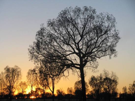 10850134_549691498499781_7074110242317038093_n