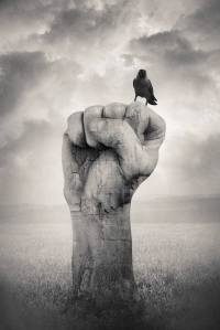 10958312_10203388442934769_2041968619585602234_n