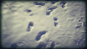 62680_10205512923758178_218022449833797269_n